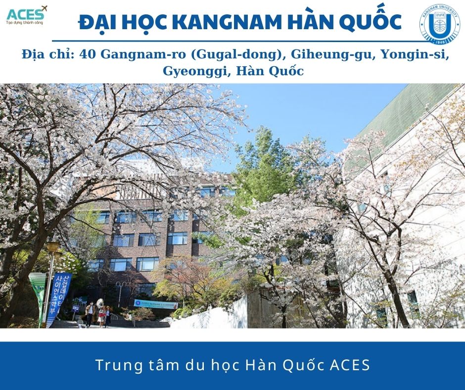 Aces - ảnh web (7)
