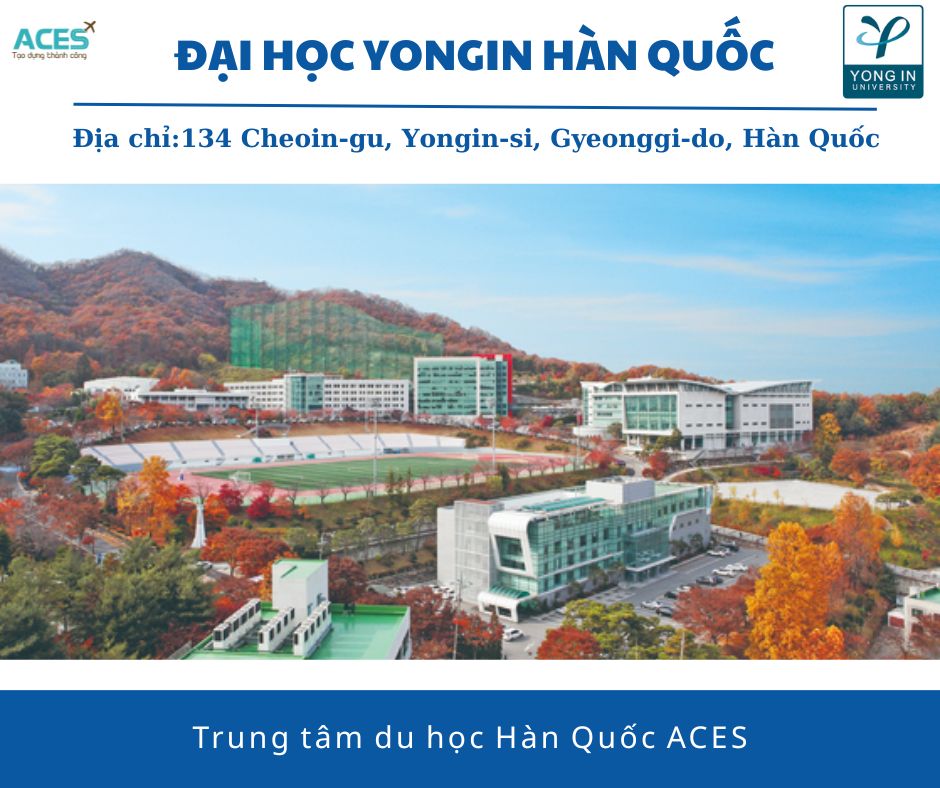 Aces - ảnh web (11)