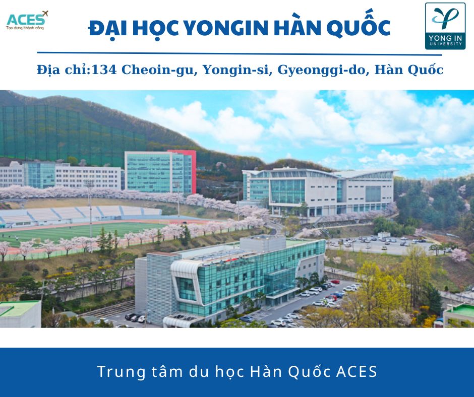 Aces - ảnh web (13)