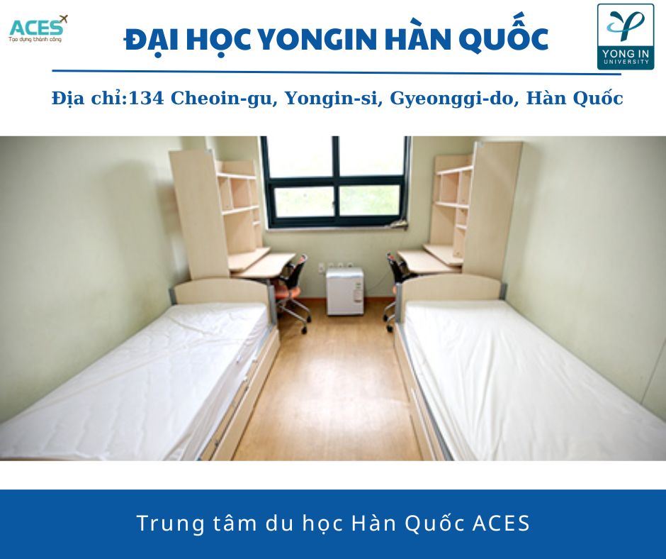 Aces - ảnh web (15)