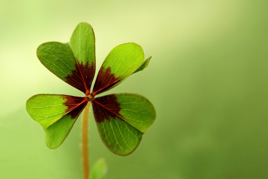 Chúc các em 2k3 thi tốt nghiệp làm bài thật tốt, đỗ đạt, thành công