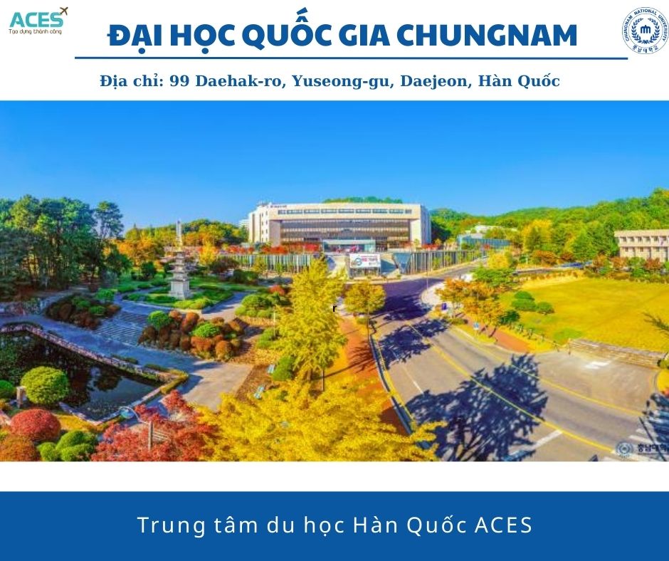 Aces - ảnh web (9)