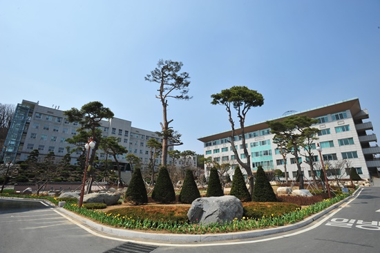 CAO ĐẲNG SEOJEONG - SEOJEONG UNIVERSITY: Trường cao đẳng ra visa F-2 hấp dẫn nhất Hàn Quốc