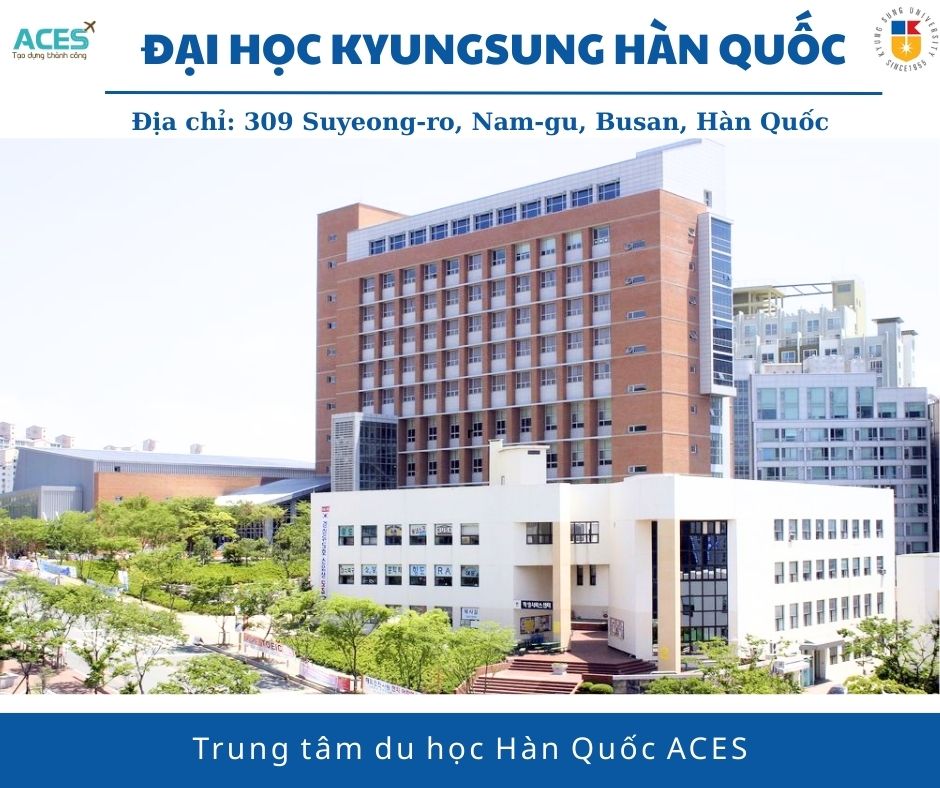 Lộ trình tại Hàn Quốc và ảnh web