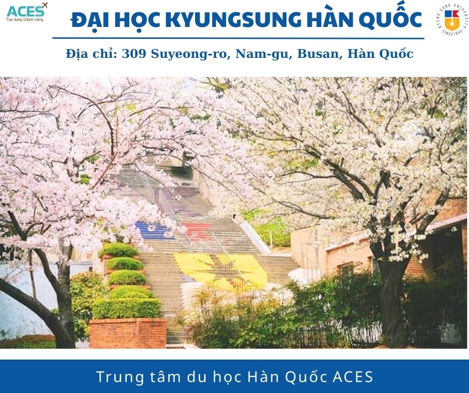 Lộ trình tại Hàn Quốc và ảnh web (1)