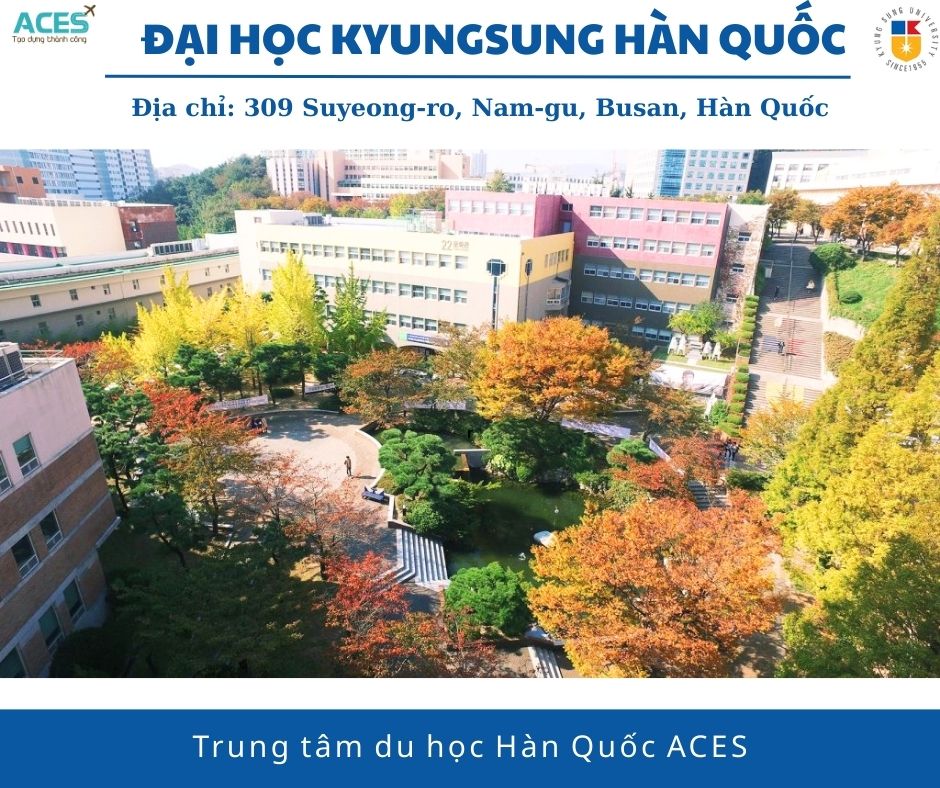 Lộ trình tại Hàn Quốc và ảnh web (2)
