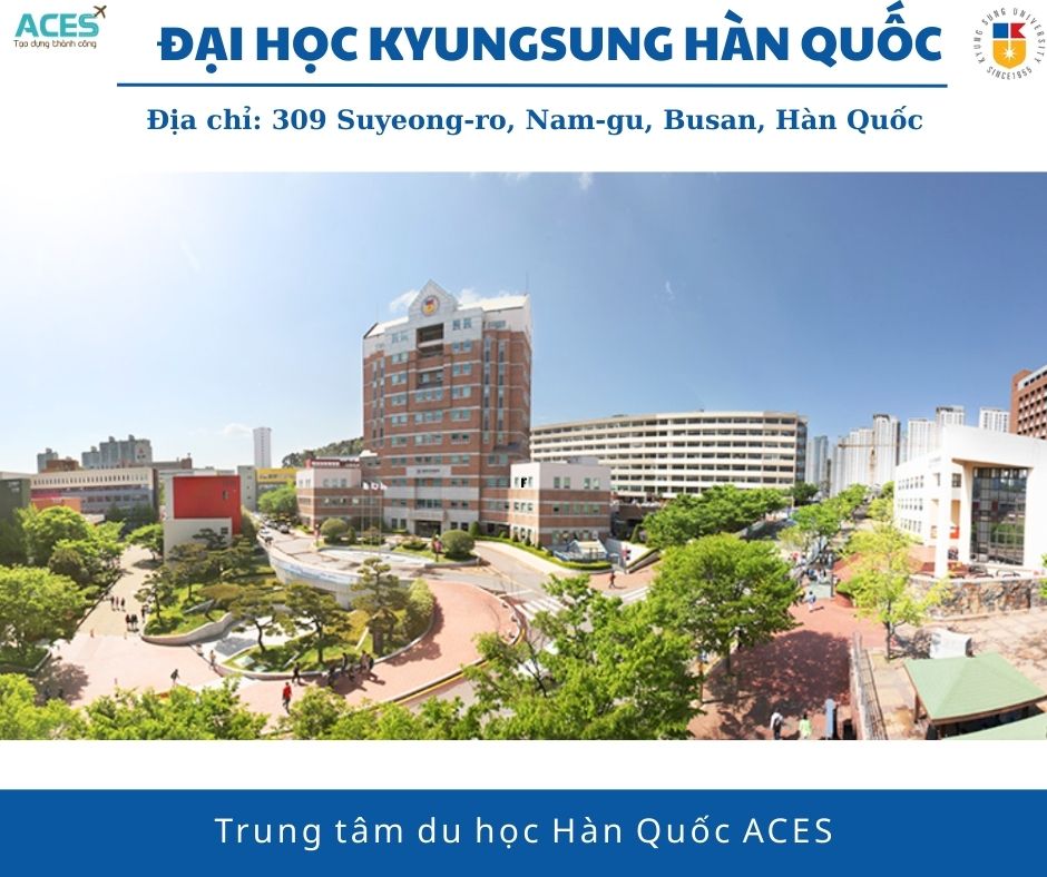 Lộ trình tại Hàn Quốc và ảnh web (4)