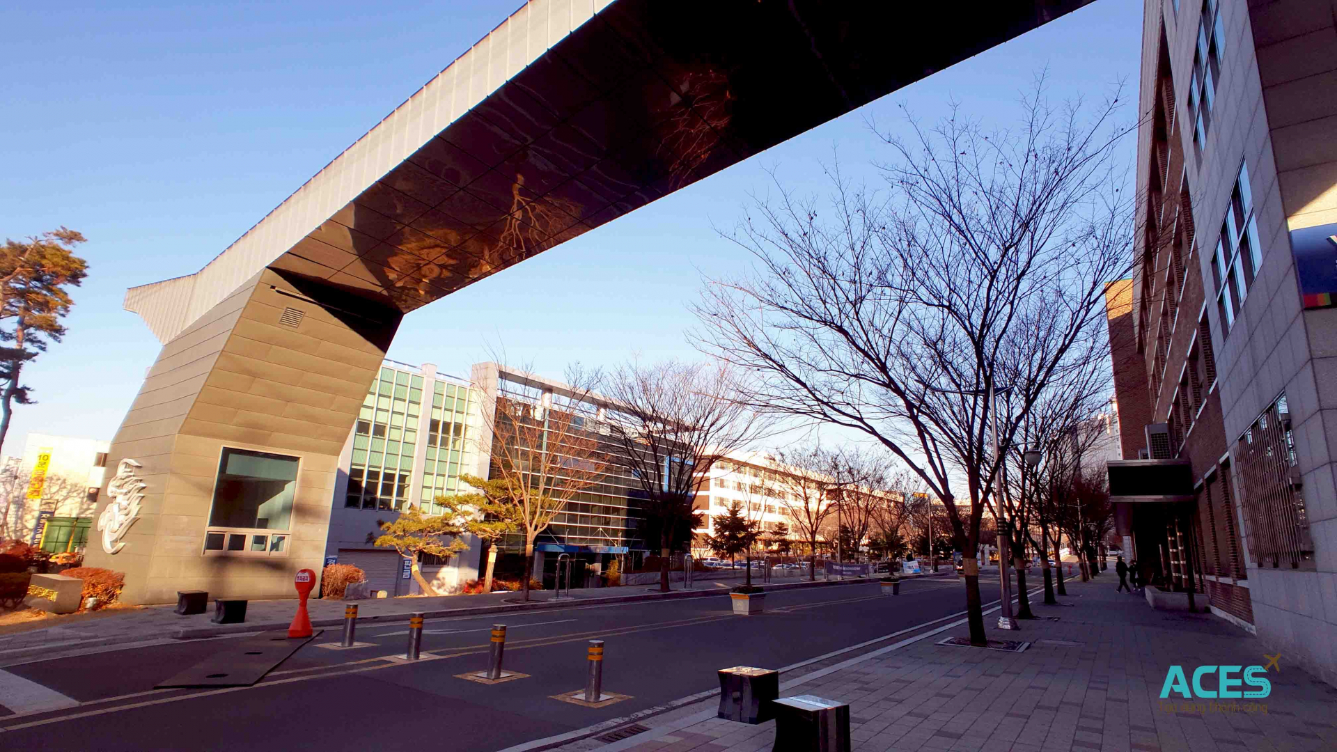 Trường Cao đẳng Công nghệ Kỹ thuật Yeungnam (영남이공대) tuyển dụng cán bộ