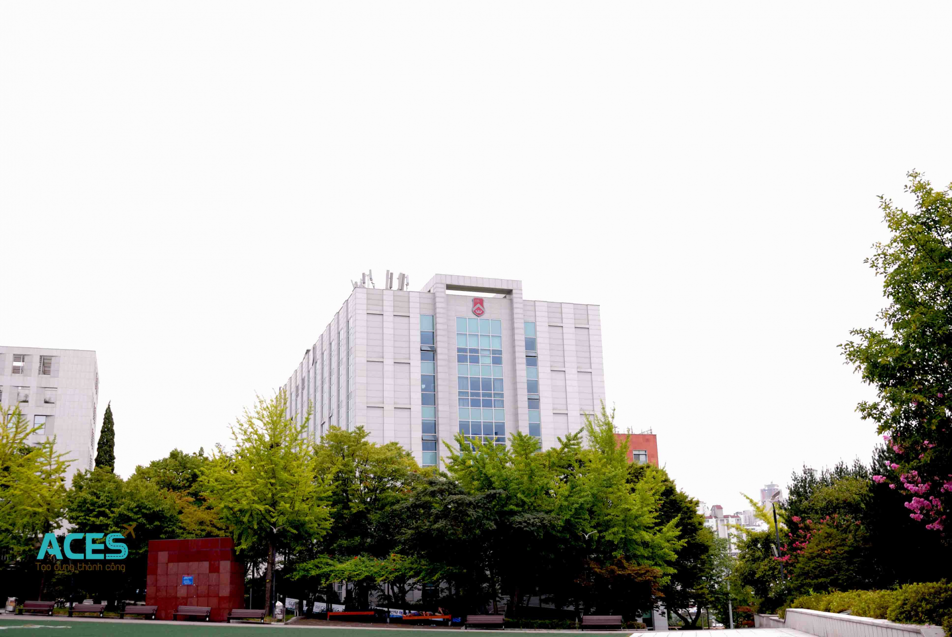 Đại học Sogang