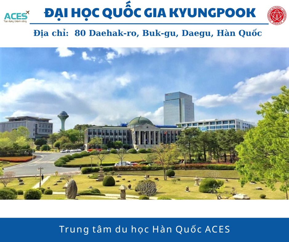 Lộ tr&igrave;nh tại H&agrave;n Quốc v&agrave; ảnh web 