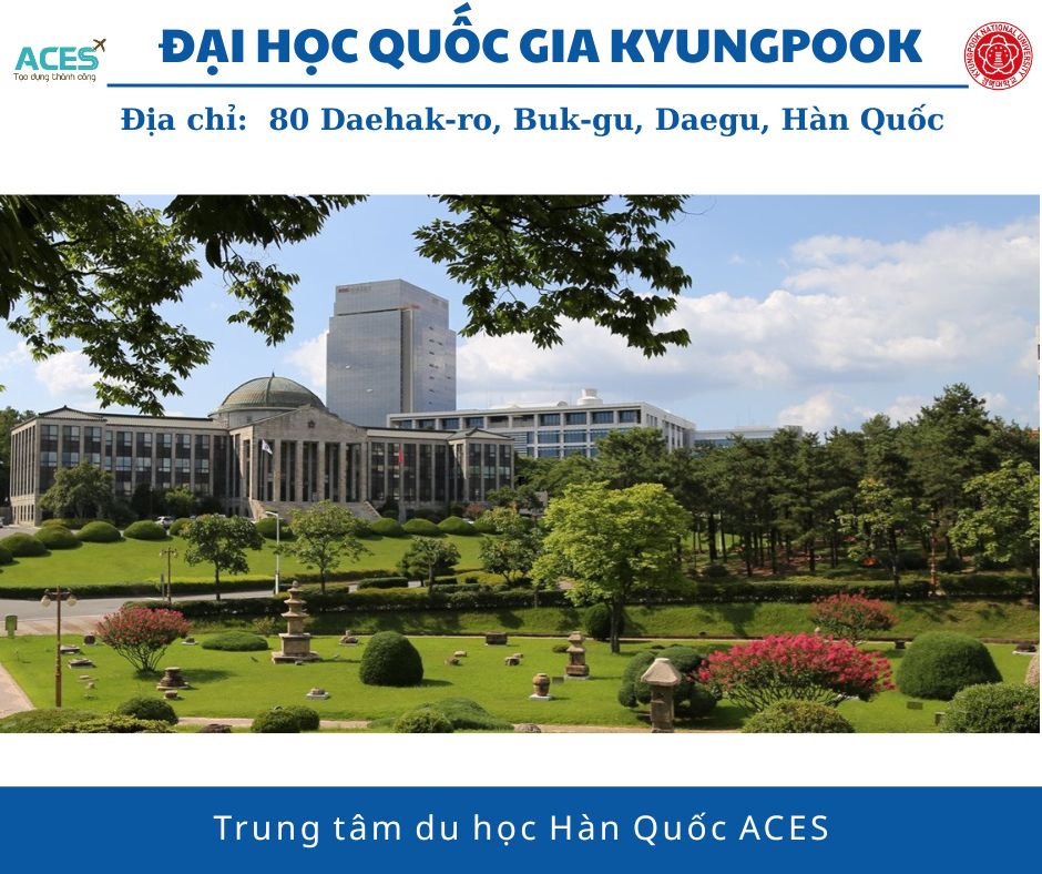 Lộ trình tại Hàn Quốc và ảnh web (2)