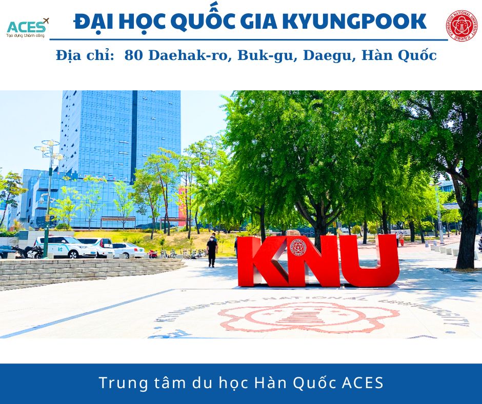 Lộ trình tại Hàn Quốc và ảnh web (3)