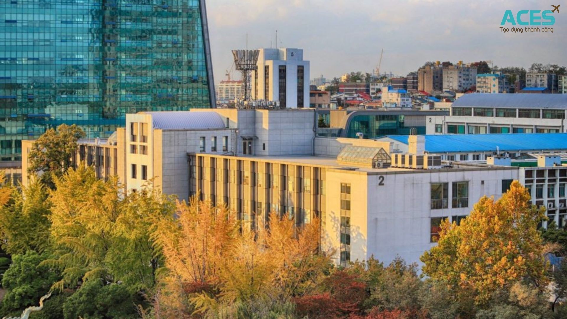 ĐẠI HỌC INHA HÀN QUỐC– 인하대학교