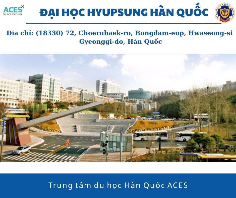 Aces - ảnh web