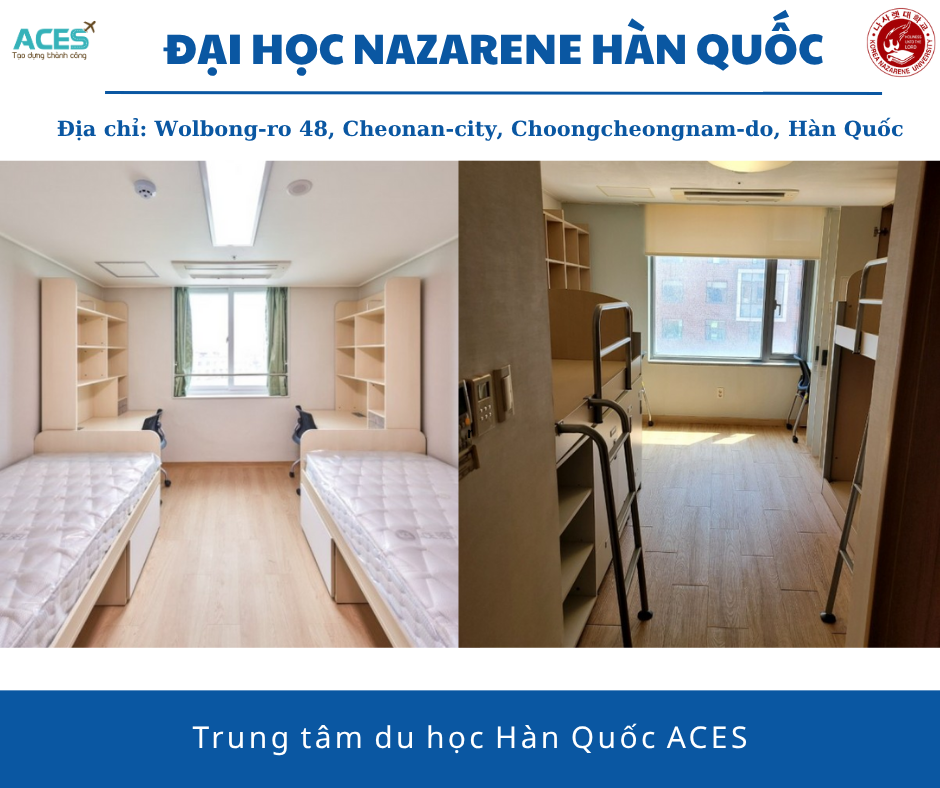 ACES - visa (Bài đăng Facebook) (3)