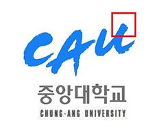Chung-Ang-University