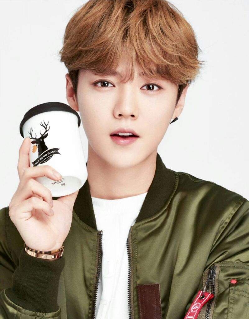 Lu Han