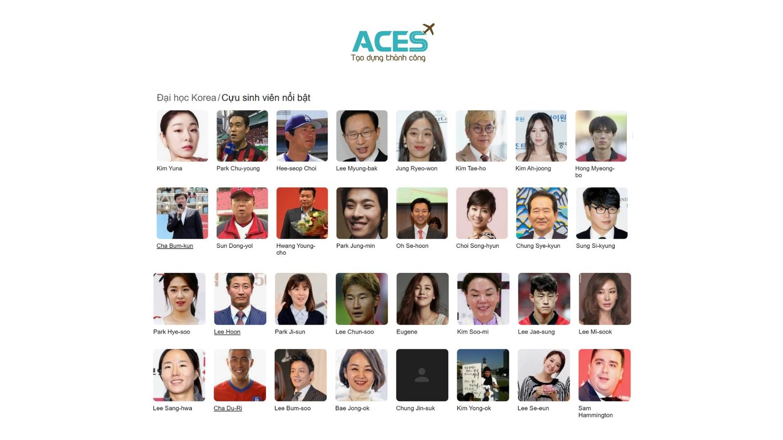 ACES - visa (3)