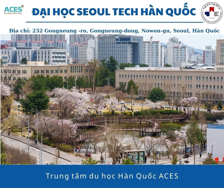 Aces - ảnh web (3)