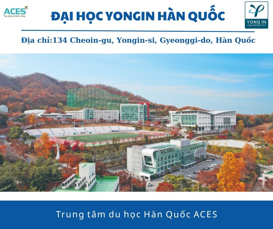 Aces - ảnh web (11)